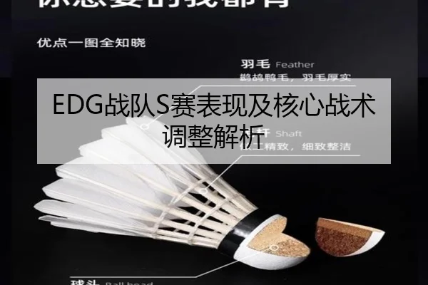 EDG战队S赛表现及核心战术调整解析